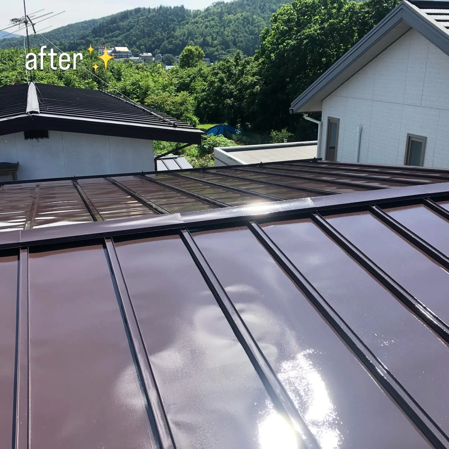 山形県の屋根塗装技術と施工法解説